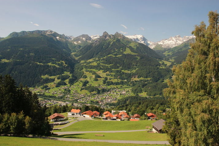ViewSummer
