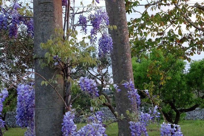 GardenSummer