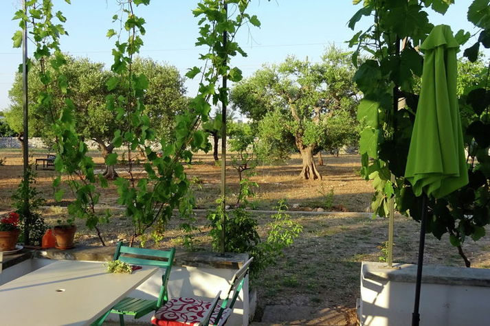 GardenSummer