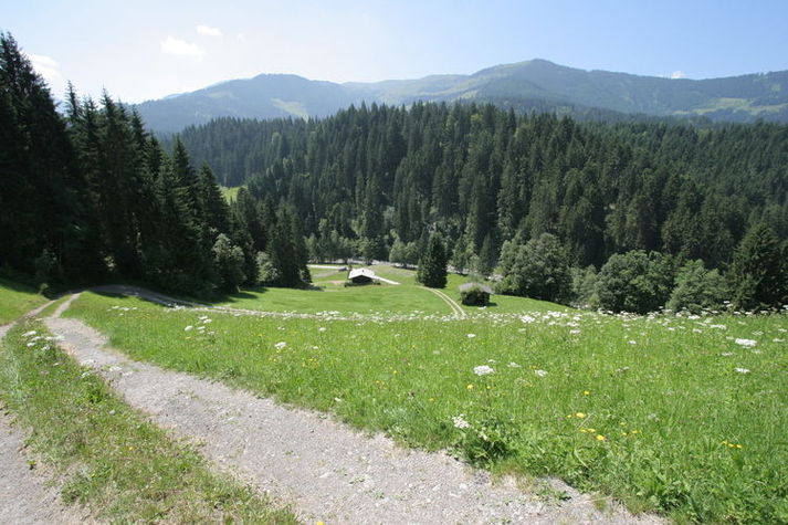 AreaSummer20KM