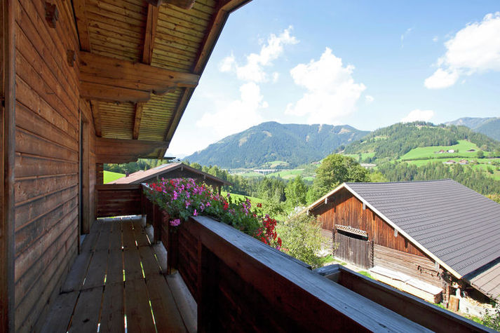 ViewSummer