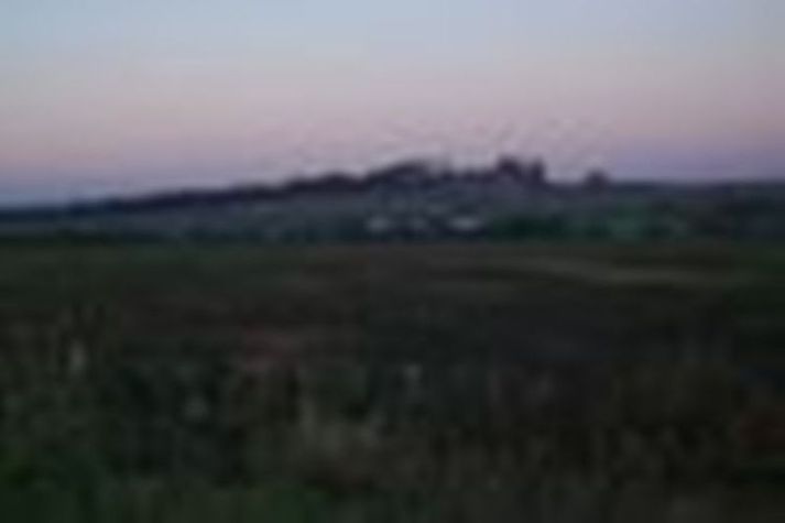 AreaSummer1KM