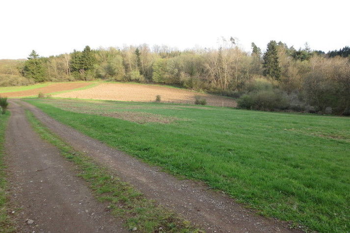 AreaSummer1KM