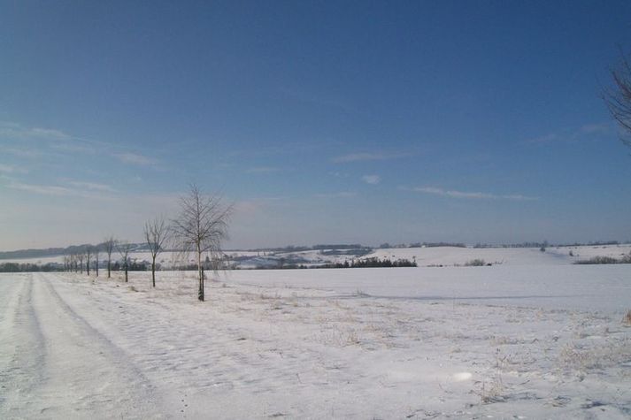 AreaWinter1KM