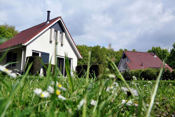 GardenSummer