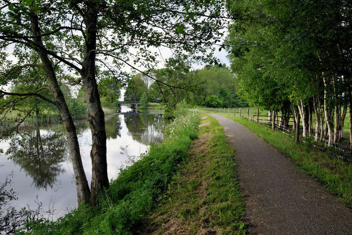 AreaSummer20KM