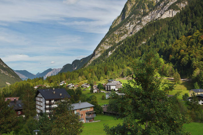 ViewSummer