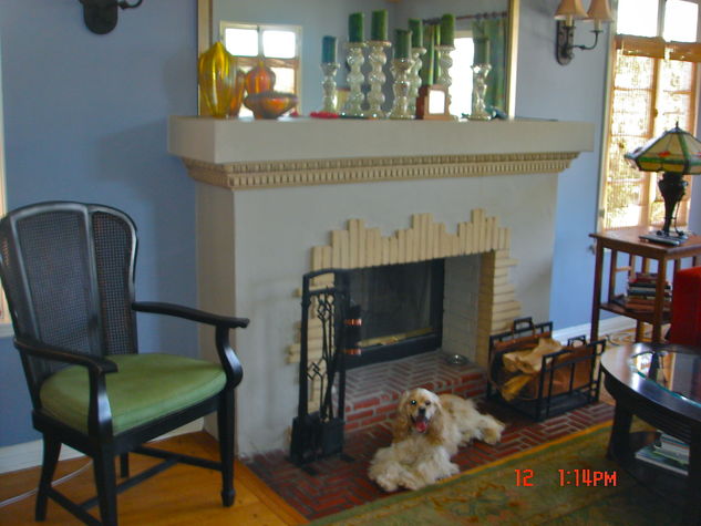 Living Room Fireplace + Buddy