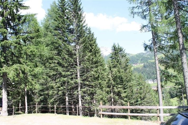ViewSummer