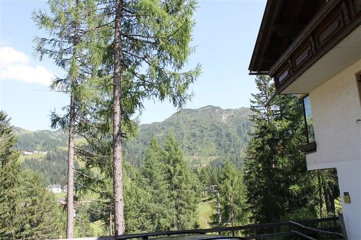 ViewSummer