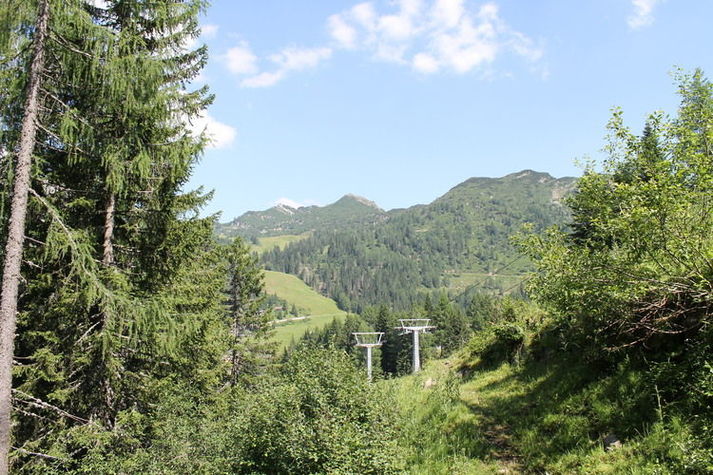 ViewSummer