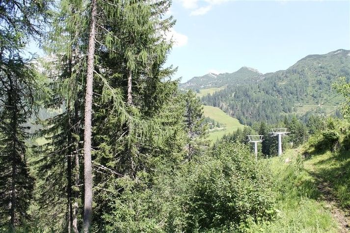 ViewSummer