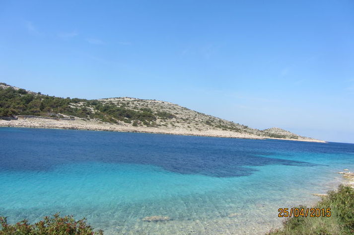 ViewSummer