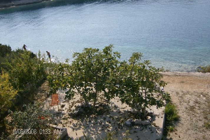 ViewSummer