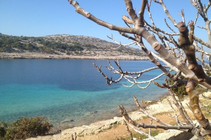 ExteriorSummer