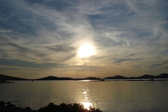 ViewSummer