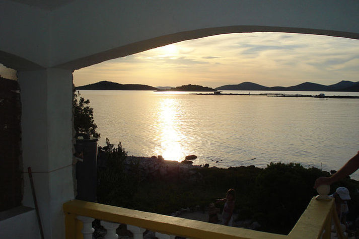ViewSummer