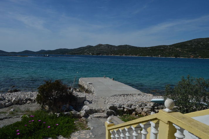 ViewSummer
