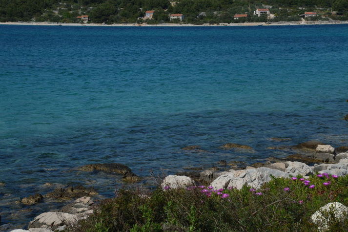 ViewSummer