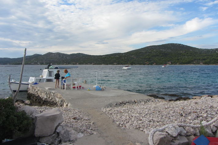 ViewSummer