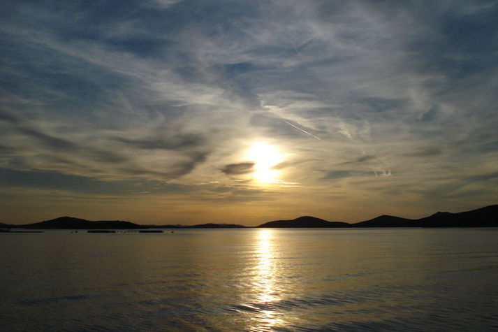 ViewSummer