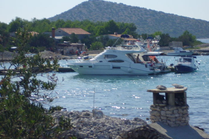 ViewSummer