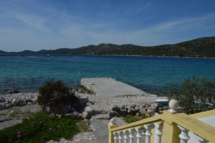 ViewSummer