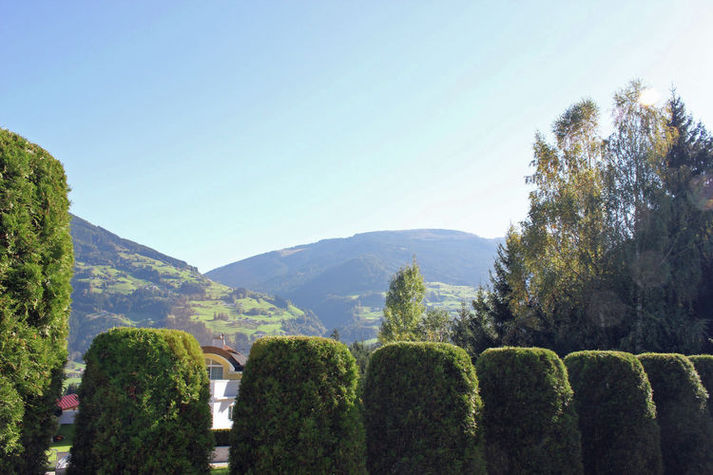 ViewSummer