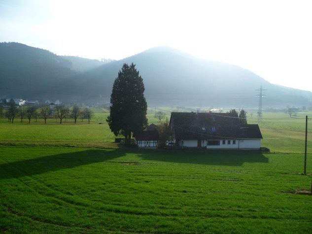 View From the balcony