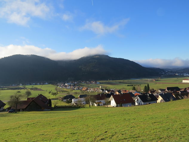 Overview over our village