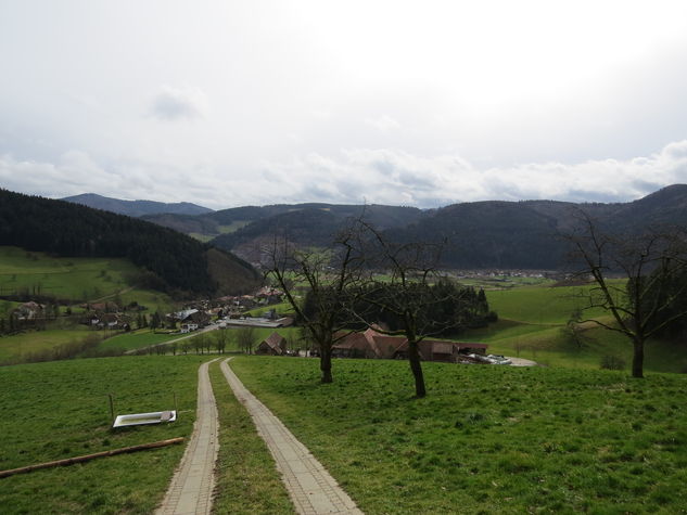 Countryside of Fischerbach