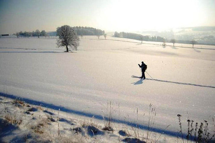 AreaWinter5KM