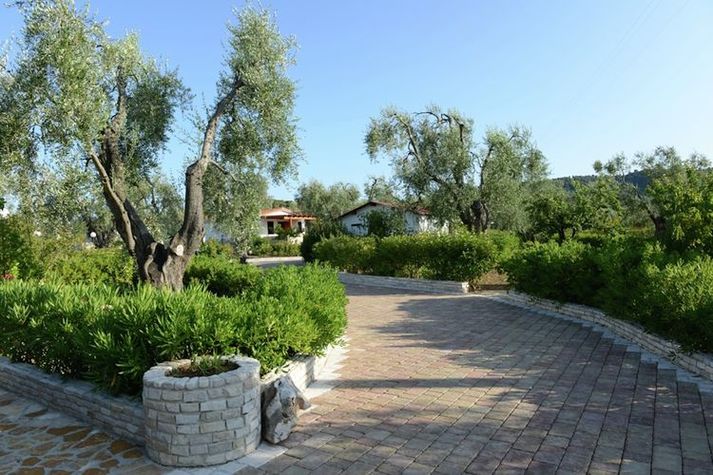 GardenSummer