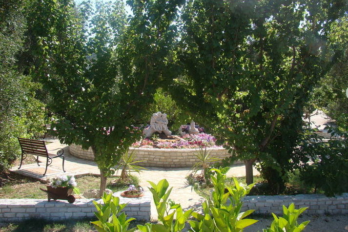 GardenSummer