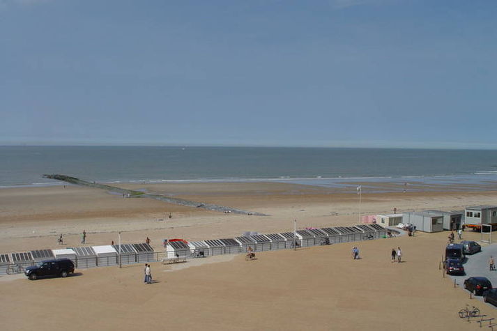 ViewSummer