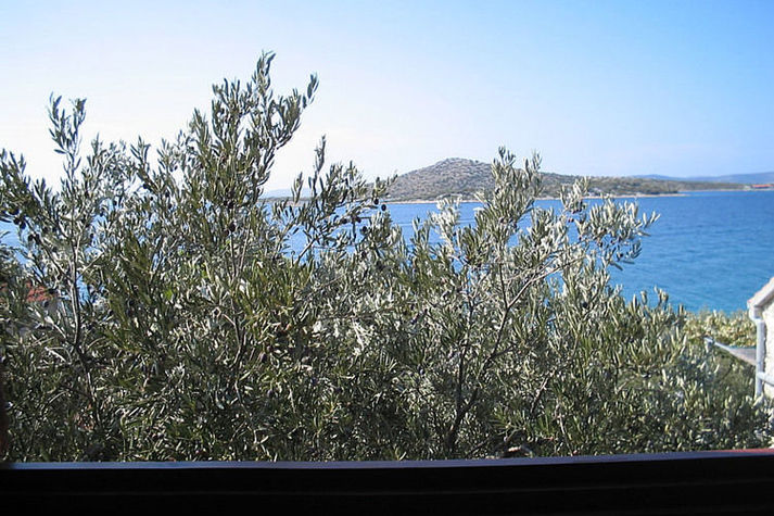 ViewSummer