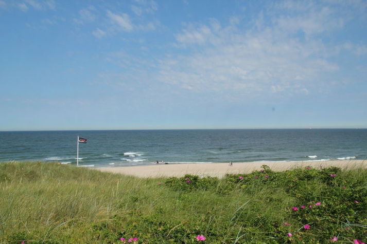 AreaSummer20KM