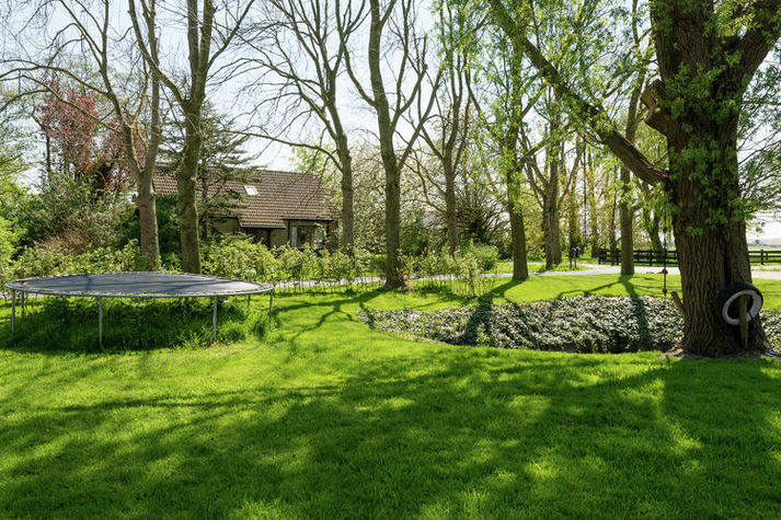 GardenSummer