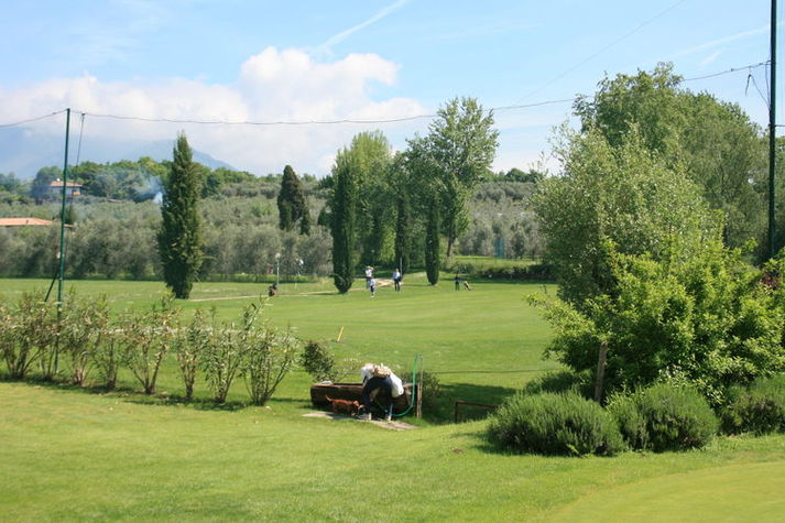 ViewSummer