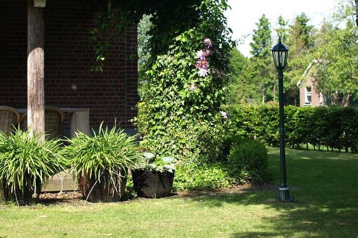 GardenSummer