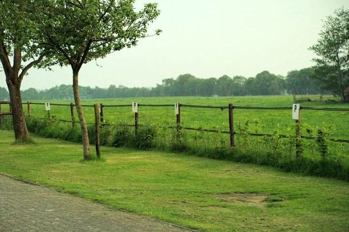 GardenSummer