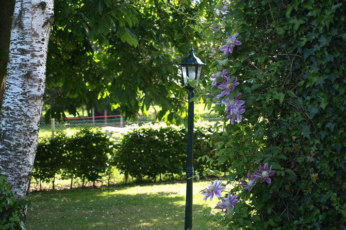 ViewSummer