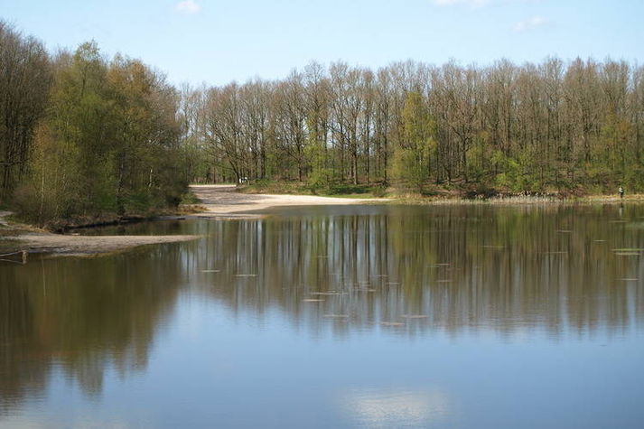 AreaWinter1KM