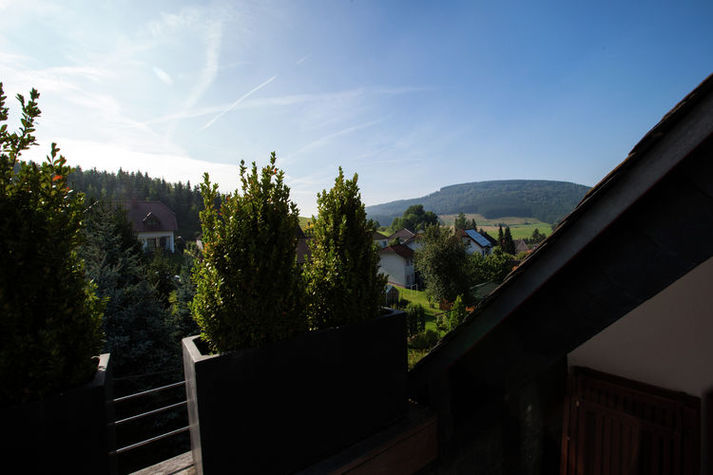 ViewSummer