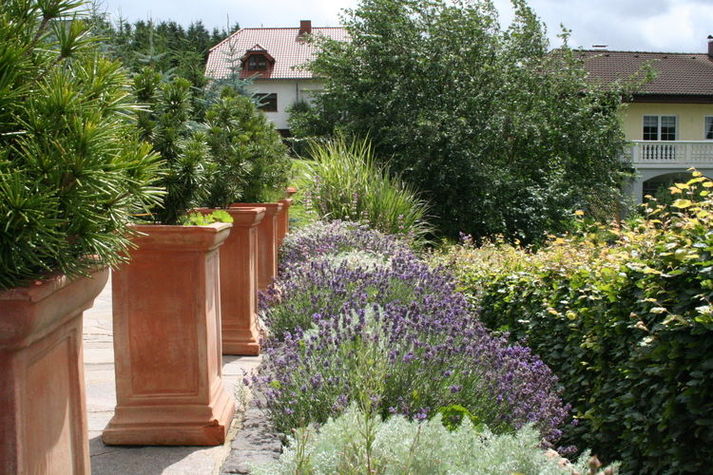 GardenSummer