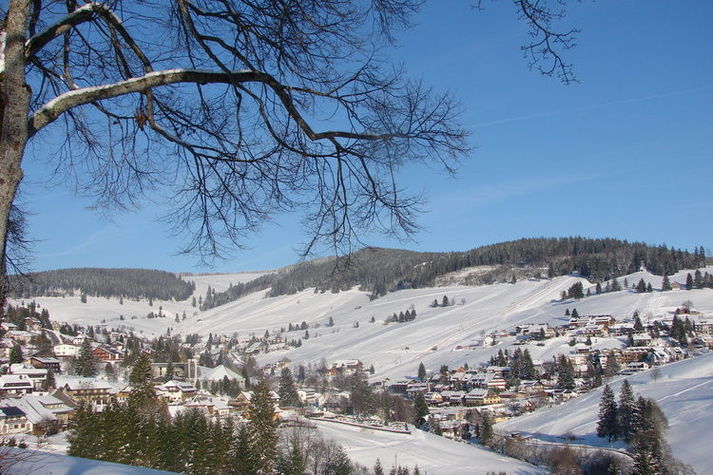 AreaWinter5KM