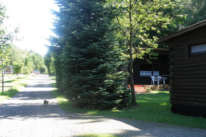 AreaSummer1KM