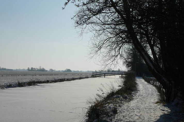 AreaWinter1KM