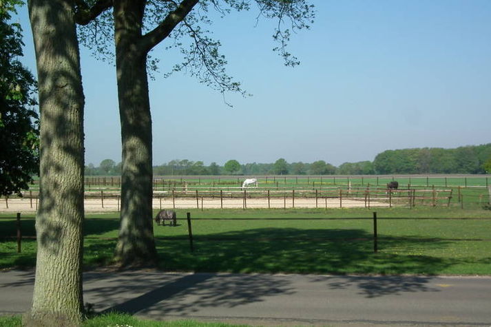ViewSummer
