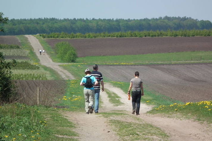 AreaSummer1KM